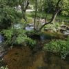 Entretien de la Brague