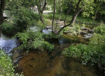 État des lieux sur l’entretien de la Brague avec le SIAQUEBA