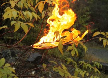 Période rouge mobile de règlementation de l’emploi du feu jusqu’au 15 avril