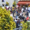 fête du mimosa 2018