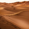 Sahara