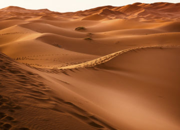 « Les trésors perdus du Sahara occidental »