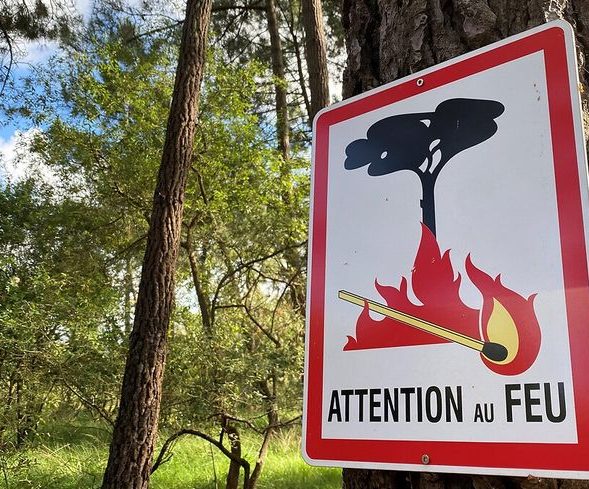 Risque incendie : l’accès aux forêts et aux bois interdit !
