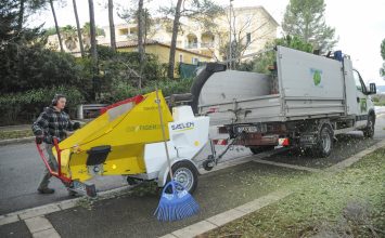 Ramassage des déchets verts : passage toutes les semaines