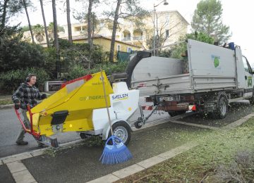 Ramassage des déchets verts : passage toutes les semaines