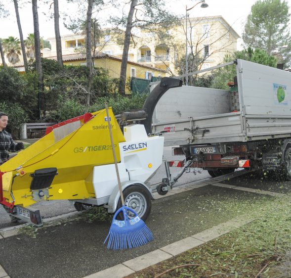 Ramassage des déchets verts : passage toutes les semaines