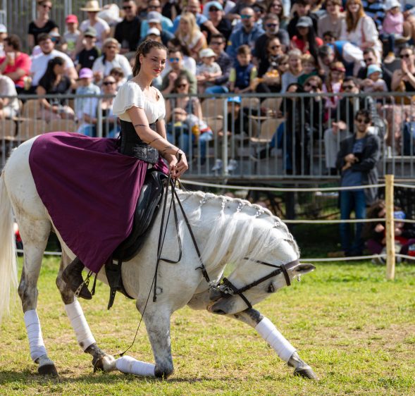 Biot & les Templiers 2025: Retour en images