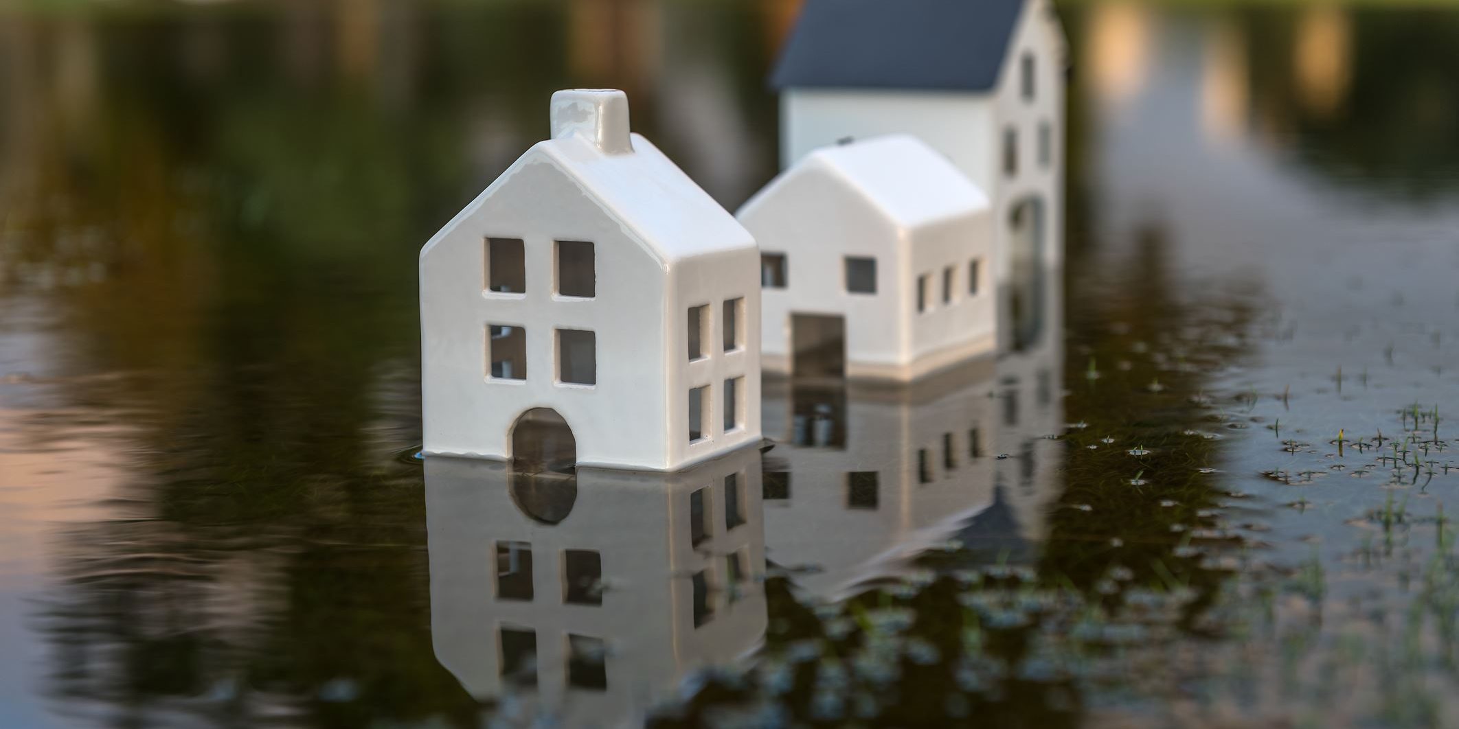 Submerged house product of global warming. Conceptual image of the rise in the level of the seas on planet Earth. (Submerged house product of global warming. Conceptual image of the rise in the level of the seas on planet Earth., ASCII, 114 components